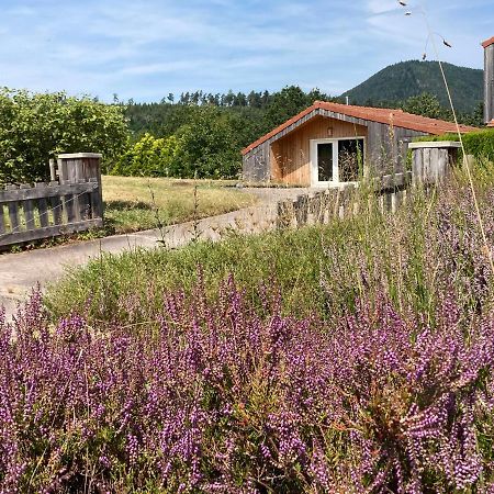 Le Chalet Dans La Nature Saulcy-sur-Meurthe Exterior foto