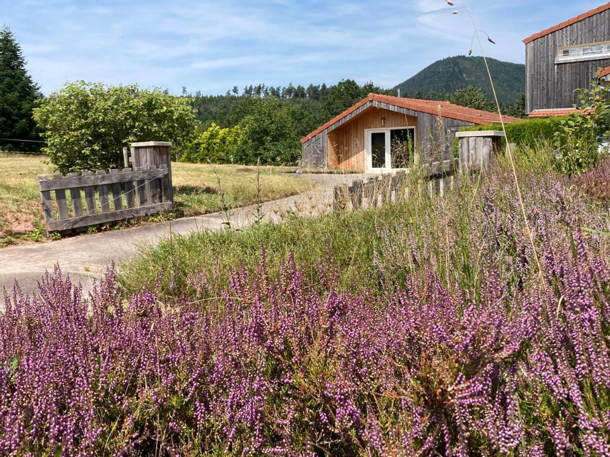 Le Chalet Dans La Nature Saulcy-sur-Meurthe Exterior foto