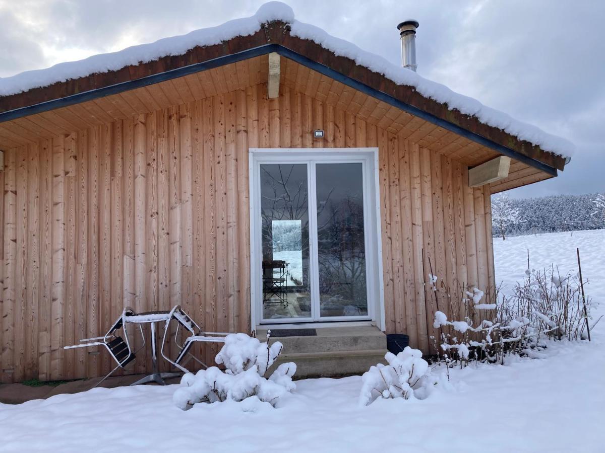 Le Chalet Dans La Nature Saulcy-sur-Meurthe Exterior foto
